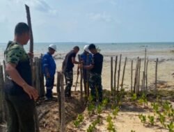 Hijaukan Pesisir, Satgas TMMD Tanam Mangrove dan Buat Pagar Pelindung di Bintan