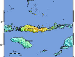 Gempa NTT Tewaskan 38 Jiwa, Ribuan Mengungsi