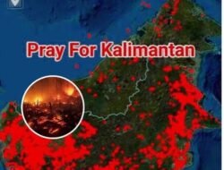 Kalimantan Terbakar: BNPB Catat 1.487 Titik Api