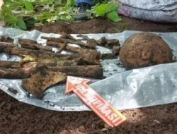 Kerangka Manusia Tanpa Identitas di Sei Ladi Batam, Polisi Gelar Penyelidikan