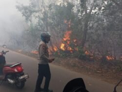 Siaga Karhutla, Polsek Tanjungpinang Padamkan Kebakaran di Jalan Bestari