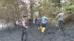 Puntung Rokok Jadi Alasan: 1 Hektare Hutan Lindung di Nongsa Terbakar