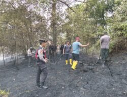 Puntung Rokok Jadi Alasan: 1 Hektare Hutan Lindung di Nongsa Terbakar