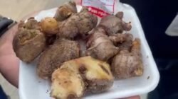 Jahe Busuk di SNL Food Batam: Skandal Pangan Tak Layak Konsumsi Bebas Dijual