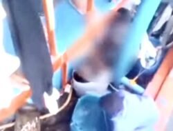 Viral Penganiayaan Awak Kapal, KM Maulana 23 Diciduk Tim Patroli PSDKP di Dobo
